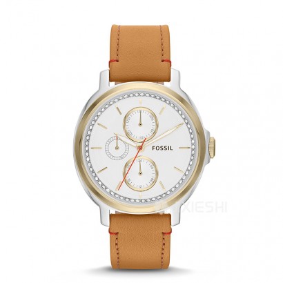 FOSSIL (gu)FOSSILŮʿֱES3523 Ȿԭ