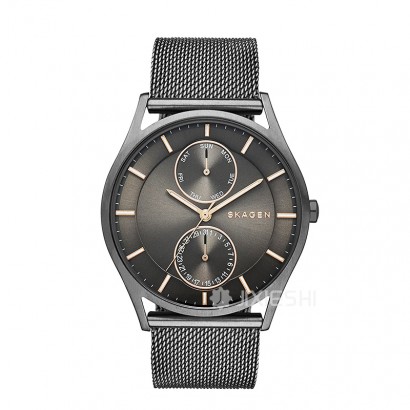 SKAGEN DENMARK ԊʯӢʿֱSKW6180 Ȿԭ