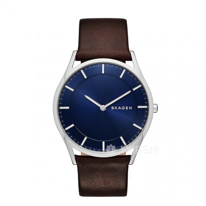 SKAGEN DENMARK ԊʯӢʿֱSKW6237 ...