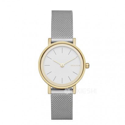 SKAGEN DENMARK Ԋ(sh)ʯӢŮʿֱSKW2445 Ȿԭ