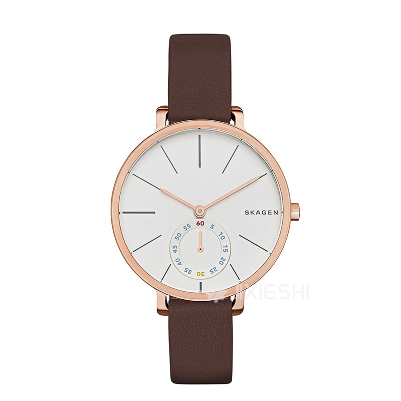 SKAGEN DENMARK ԊʯӢŮʿֱSKW2356 ...