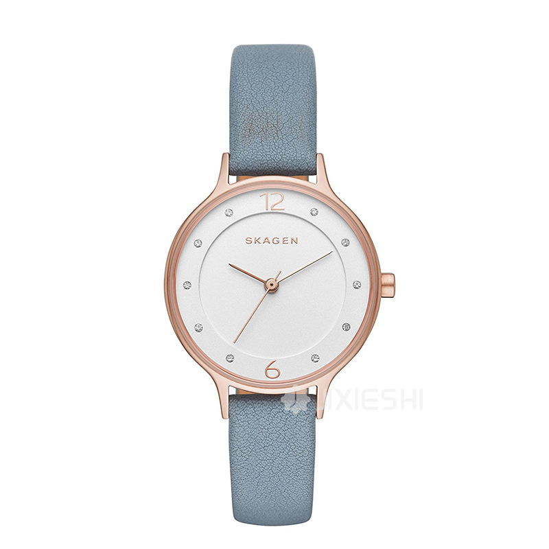 SKAGEN DENMARK ԊʯӢŮʿֱSKW2497 ...