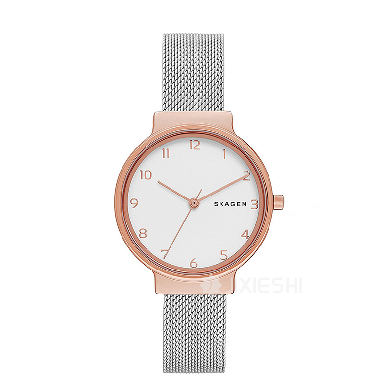 SKAGEN DENMARK ԊʯӢŮʿֱSKW1080 ...