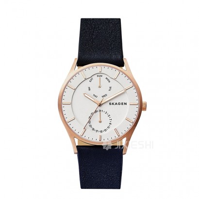 SKAGEN DENMARK ԊʯӢʿֱSKW6372 Ȿԭ