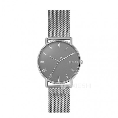 SKAGEN DENMARK Ԋ(sh)ʯӢʿֱSKW6428 Ȿԭ