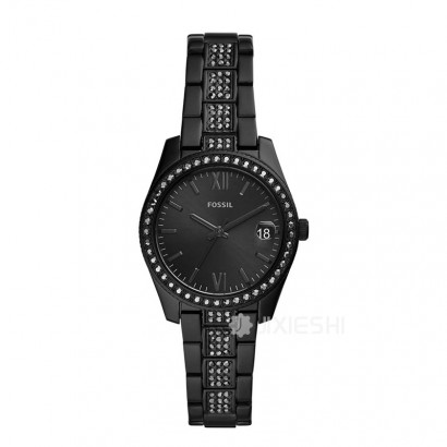 FOSSIL (gu)FOSSILŮʿʯӢES4508 Ȿԭ