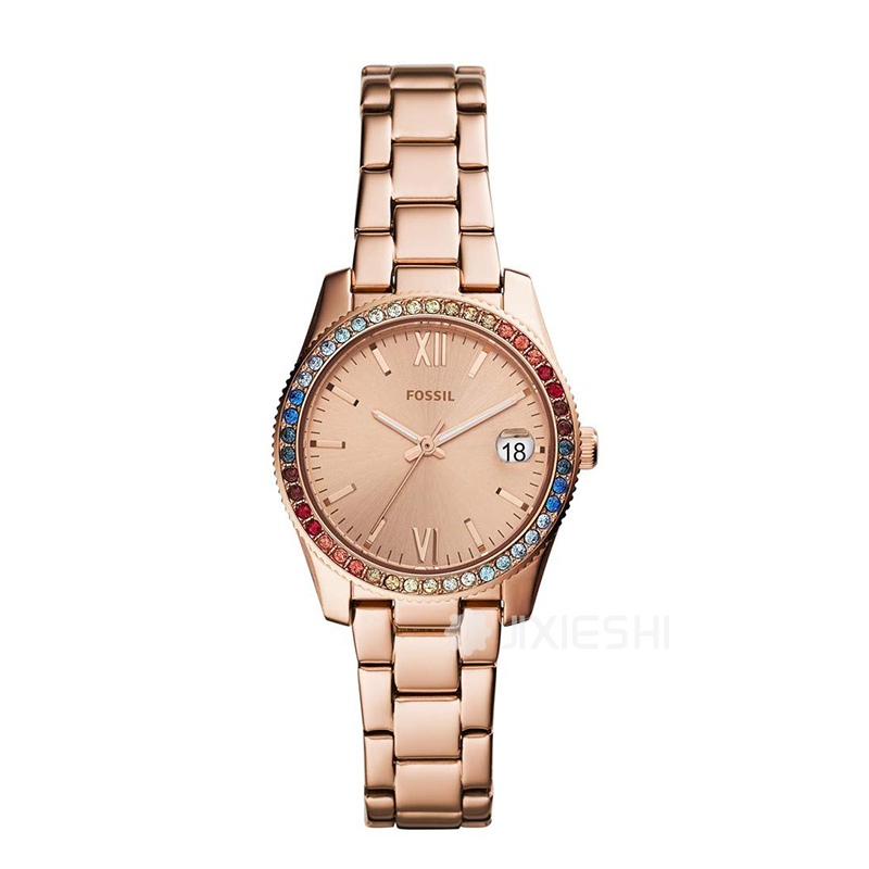 FOSSIL FOSSILŮʿʯӢES4491 Ȿԭ