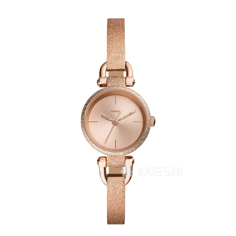 FOSSIL (gu)FOSSILŮʿʯӢES4479 Ȿԭ