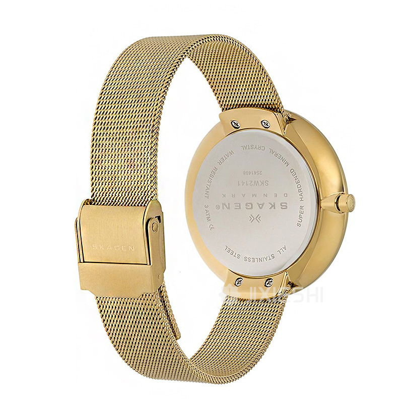 SKAGEN DENMARK ԊŮʿSKW2140/1 Ȿԭ