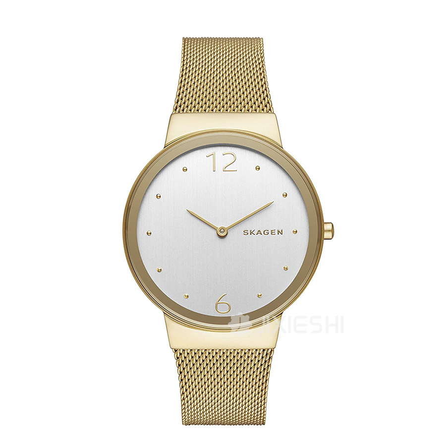 SKAGEN DENMARK Ԋ(sh)ʯӢŮʿֱSKW2519 Ȿԭ