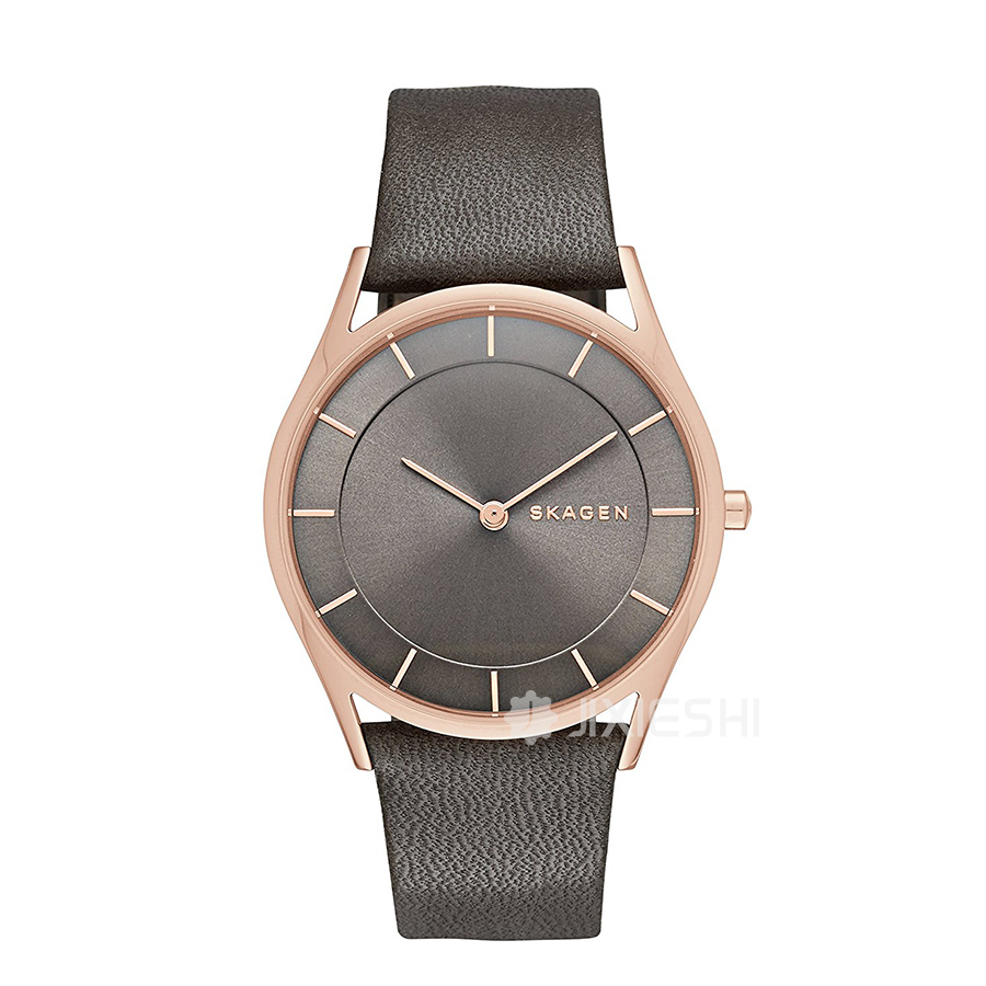 SKAGEN DENMARK ԊʯӢŮʿֱSKW2346 Ȿԭ