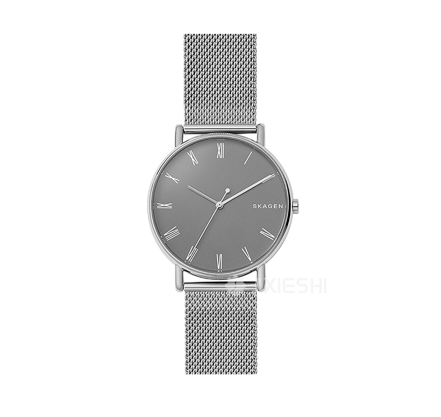 SKAGEN DENMARK Ԋ(sh)ʯӢʿֱSKW6428 Ȿԭ