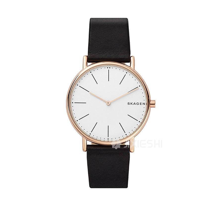 SKAGEN DENMARK Ԋ(sh)ʯӢʿֱSKW6430 Ȿԭ